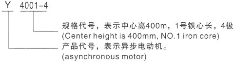 西安泰富西玛Y系列(H355-1000)高压YR5002-10/220KW三相异步电机型号说明