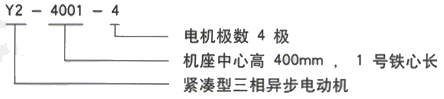 YR系列(H355-1000)高压YR5002-10/220KW三相异步电机西安西玛电机型号说明